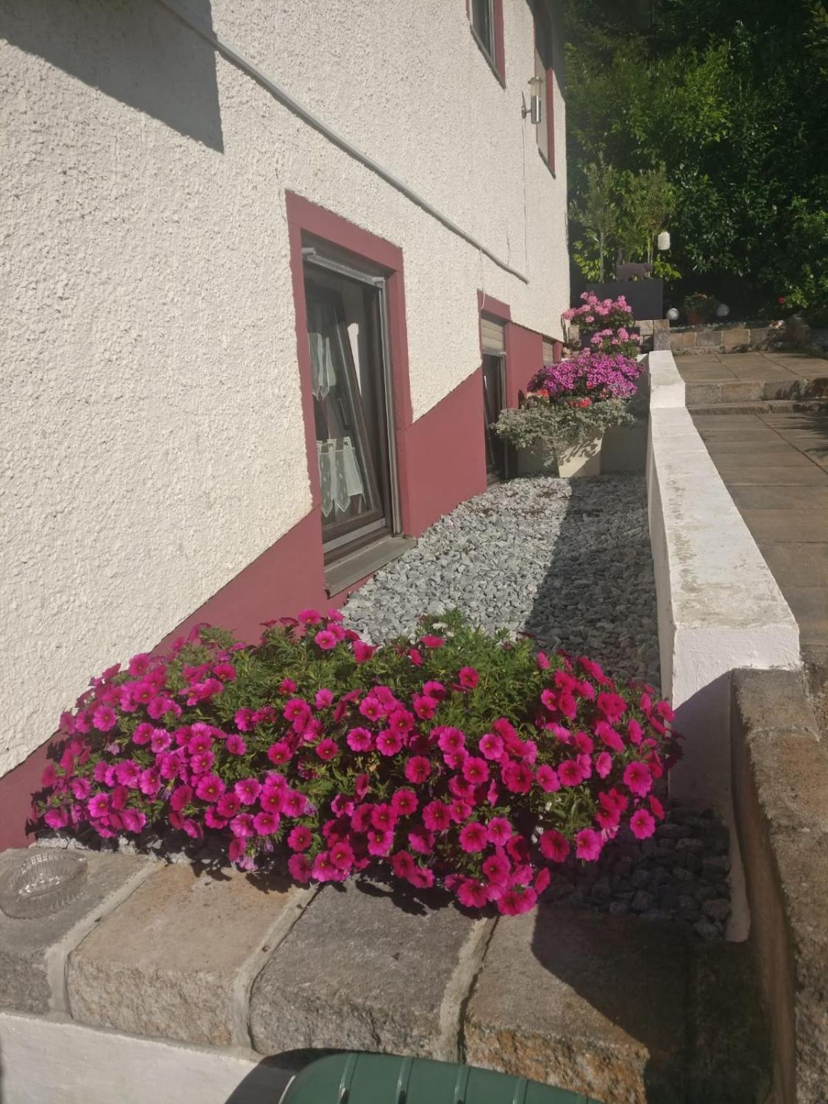 Apartments In Behringersmuehle Goessweinstein Ngoại thất bức ảnh